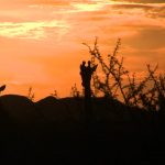 Била ли е България родина на най-старите човешки предци