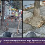 София – градът на бетонираните дървета